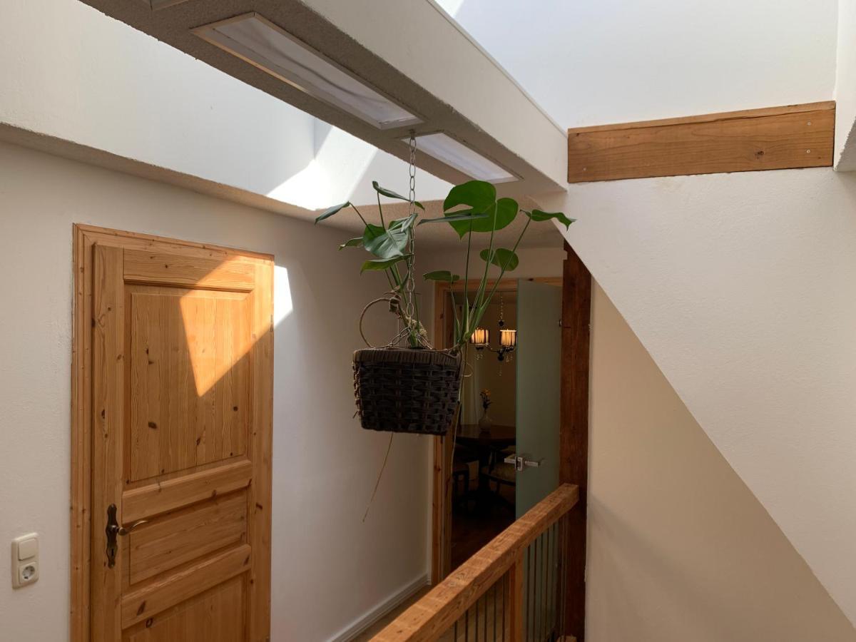 Gesundbrunnen Apartment